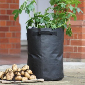 Как картофель выращивать в мешках? Какие преимущества и минусы?