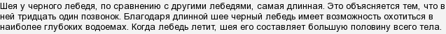 у какого лебедя самая длинная шея. . у какого лебедя самая длинная шея фото. у какого лебедя самая длинная шея-. картинка у какого лебедя самая длинная шея. картинка