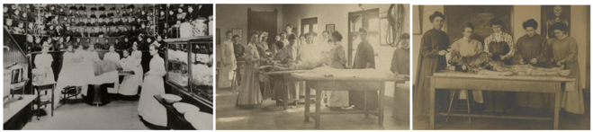Женский медицинский колледж в Пенсильвании, 1895 - 1898