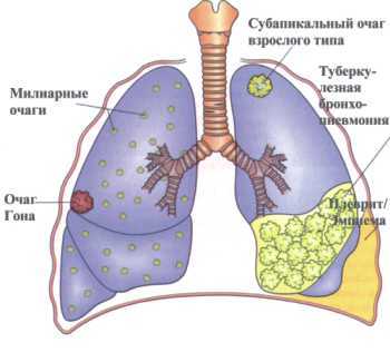 текст при наведении