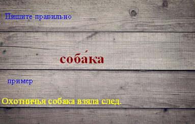 Неизвестная собака как пишется