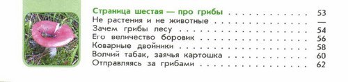 Рассказ о подосиновике 3 класс по окружающему миру