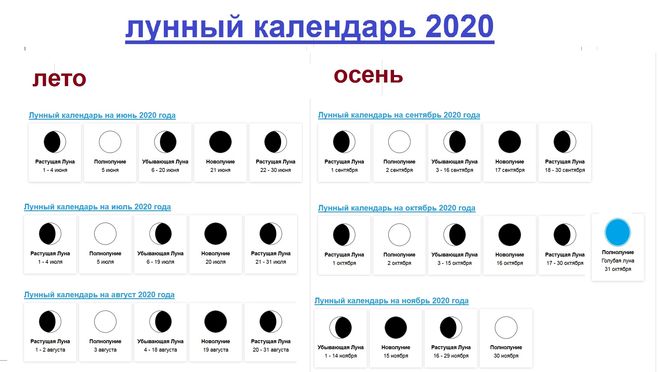 6 Октября 2023 День Для Стрижки