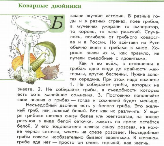 Книга зеленые страницы текст коварные двойники