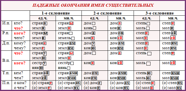 фото из интернета