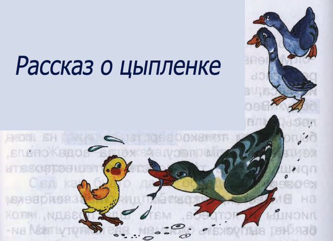 Написать сочинение рассказ по рисунку о попович не взяли на рыбалку