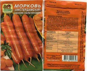 Сколько семян моркови в 1 грамме? Количество семян моркови в одном грамме?