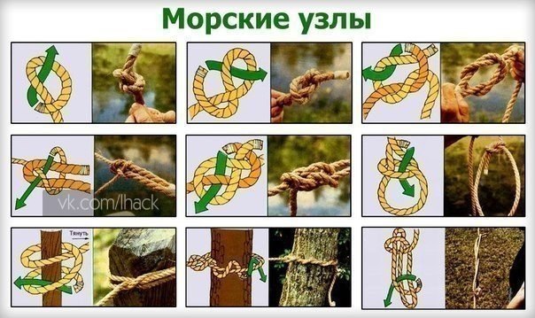 текст при наведении