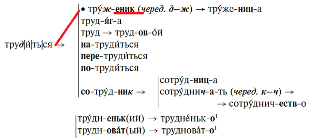 Как правильно написать труженики. Труженик как пишется. Труженик как пишется и почему. Труженик правило написания.