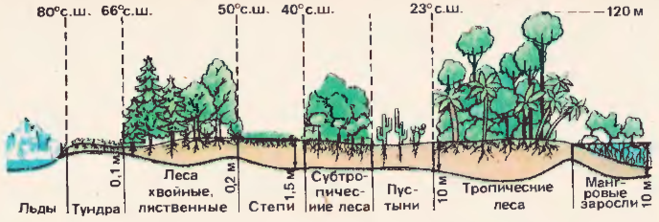 текст при наведении