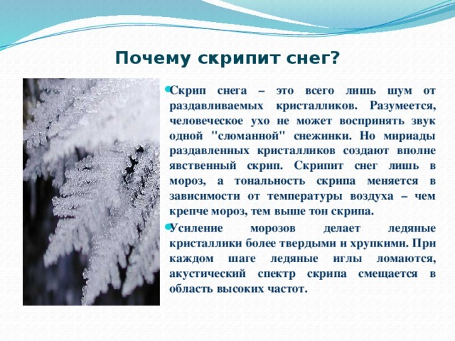 Скрип скрипеть. Почему скрипит снег под ногами. Почему хрустит снег. Снег хрустит под ногами. Хрустящий снег.