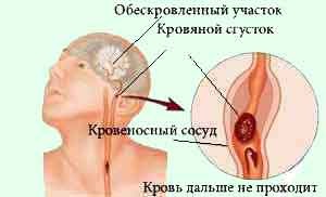 текст при наведении