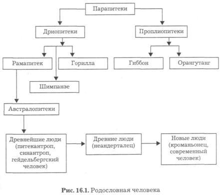 текст при наведении