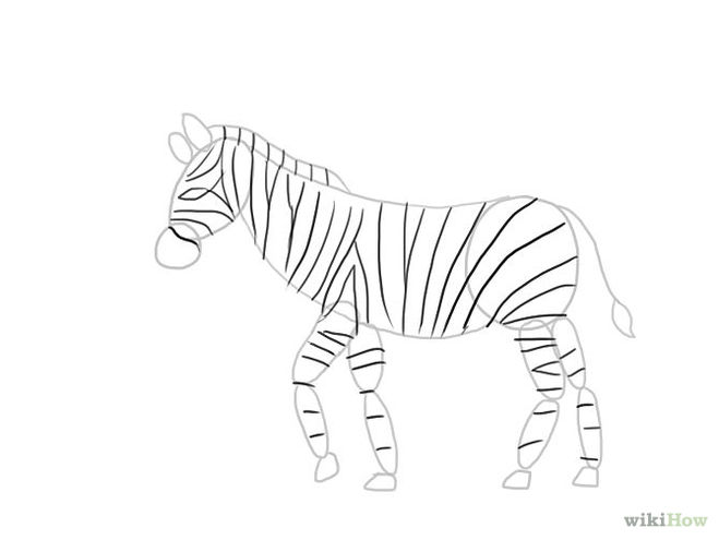 нарисовать зебру 8
