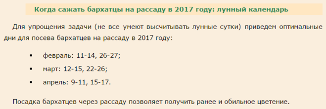 Когда сажать бархатцы на рассаду в апреле. Сроки посева бархатцев на рассаду. Когда сеять бархотки на рассаду. Когда посадить бархатцы на рассаду.