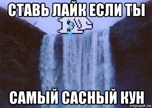 Что значит сасный мальчик