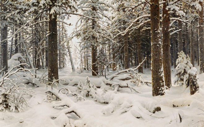 сочинение по картине И.И.Шишкина "Зима" для 2, 4, 6, 7 классов