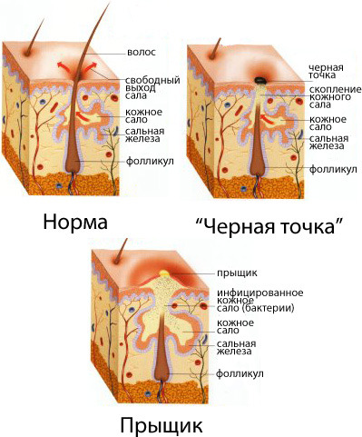 текст при наведении