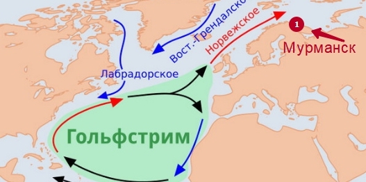 Какие сведения о гольфстриме невозможно. Гольфстрим Мурманск течение. Гольфстрим и Лабрадорское течение. Течение Гольфстрим на карте Мурманск. Гольфстрим и Северо атлантическое течение на карте.