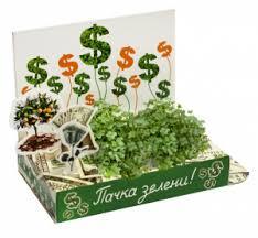 пачка зелени, доллары, как заработать зелень, где взять зелени