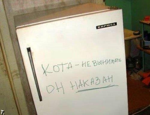 текст при наведении