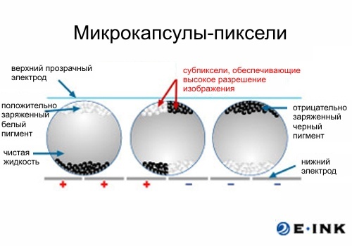 текст при наведении