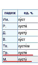 Просклонять сова. Склонение слова куст. Кусты падеж. Куст просклонять по падежам. Какой падеж у слова кусты.