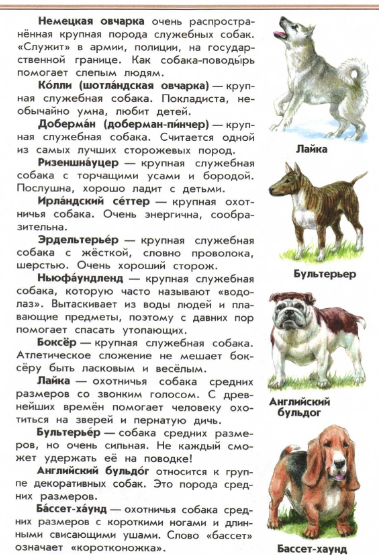 Атлас определитель "От земли до неба": какие породы собак в нем приведены?