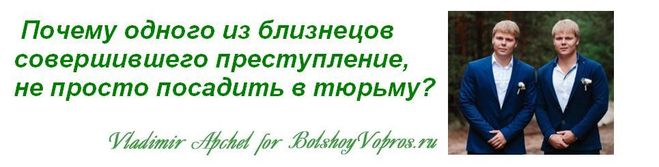 Почему одного из близнецов совершившего преступление, не просто посадить в тюрьму? интересные факты о близнецах