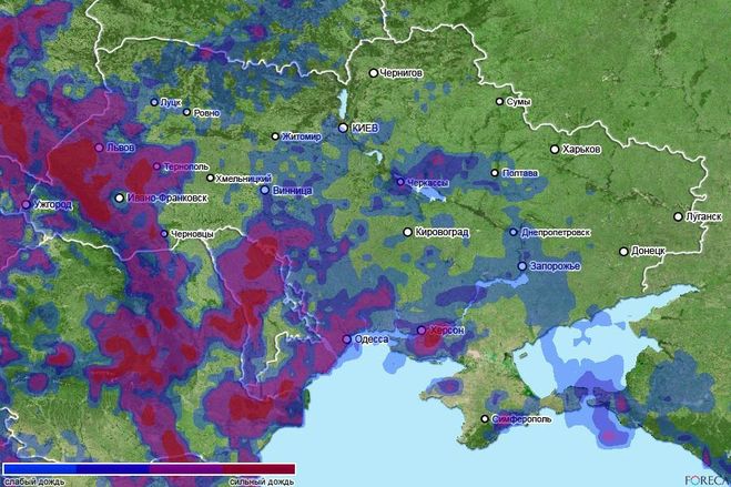 текст при наведении