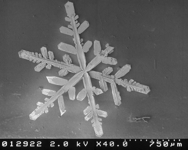 как выглядит снежинка под микроскопом