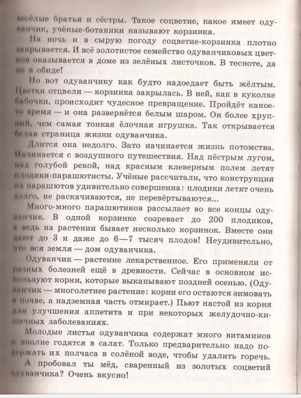 рассказ об одуванчике