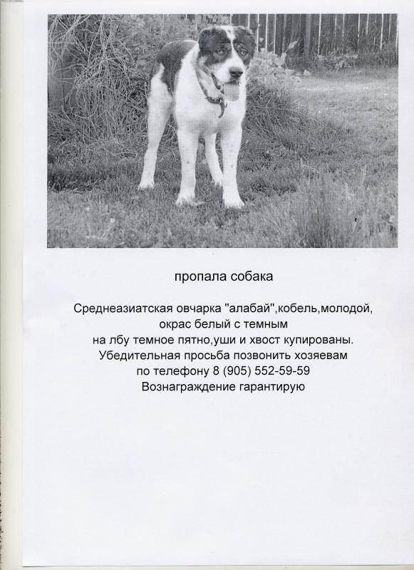 Подать объявление о продаже щенков