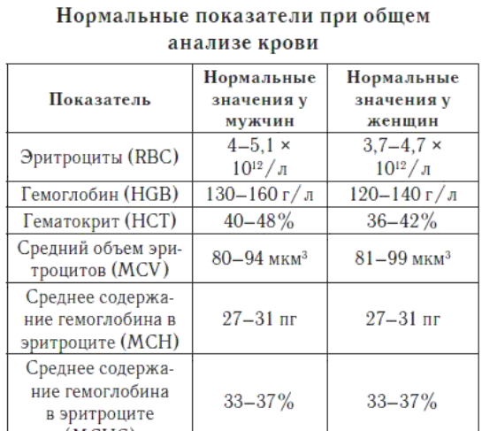 текст при наведении