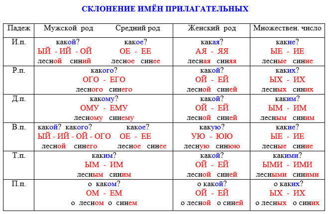 склонение имен прилагательных