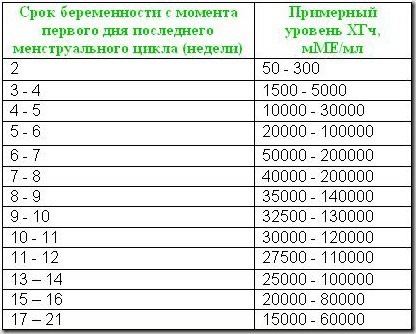 текст при наведении