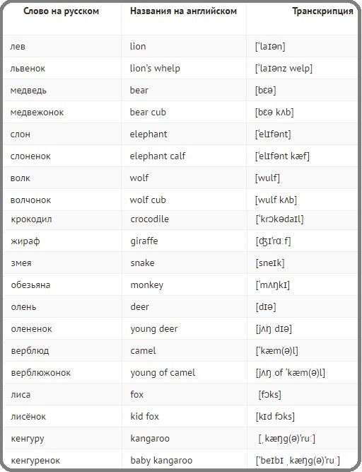 таблица с названиями домашних животных на английском языке