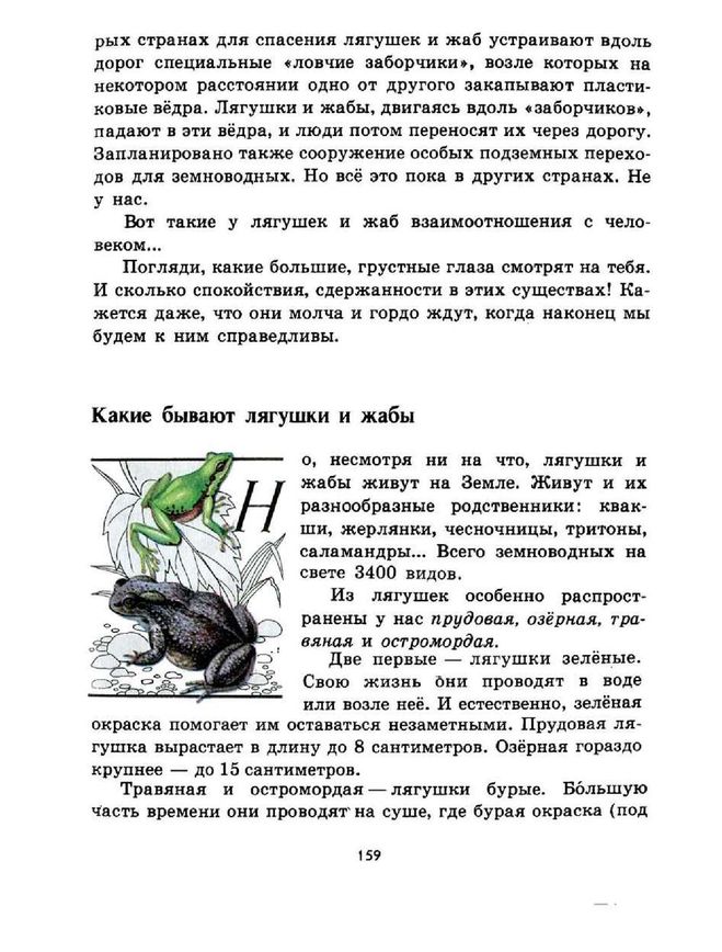 Похожие но разные. Книга зелёные страницы 2 класс про лягушку и жабу. Плешаков зеленые страницы Жабы и лягушки. Зелёные страницы рассказ похожие но разные лягушка и жаба. Зелёные страницы 2 класс окружающий мир лягушка и жаба.