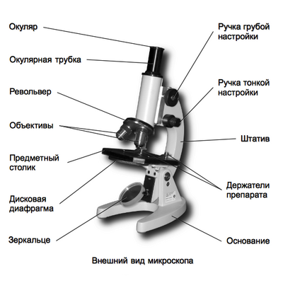 Строение микроскопа