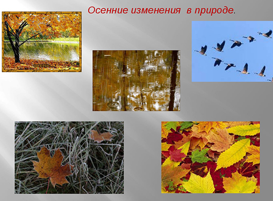 Какие изменения в живой природе происходят осенью?