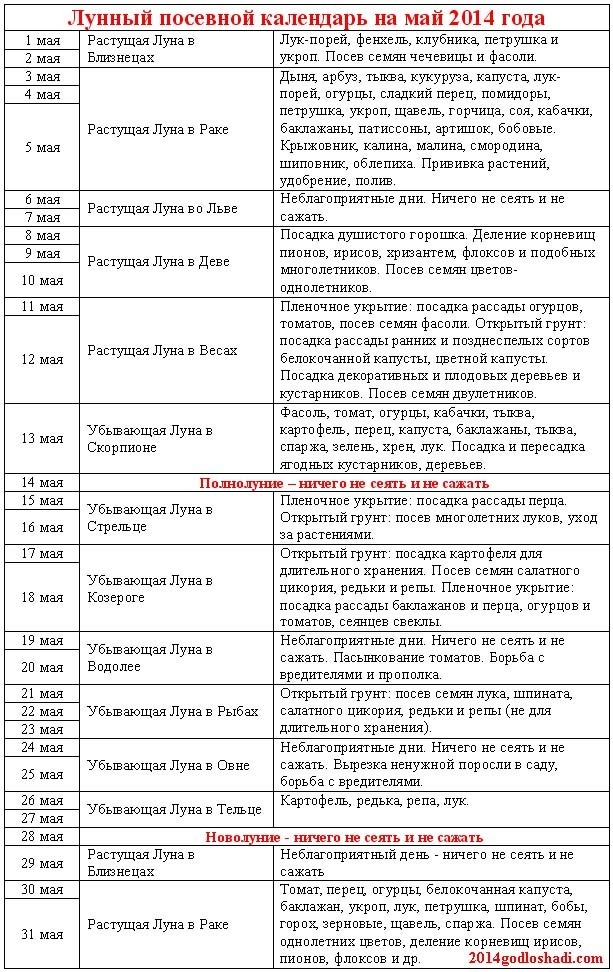 текст при наведении