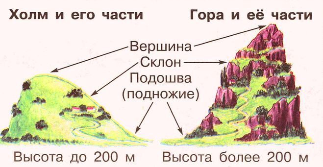 Закончите схему окружающий мир