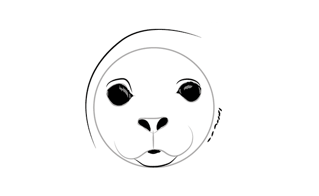как рисовать тюленя 2