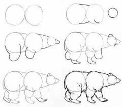 как нарисовать полярного медведя, как рисовать белого медведя поэтапно