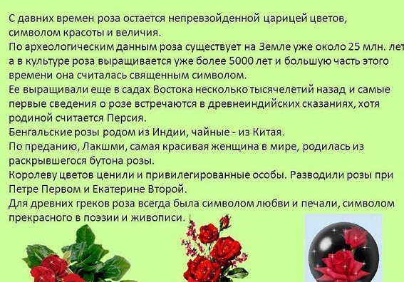 Описание розы в научном стиле