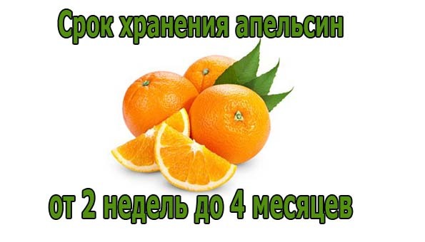 Апельсин в какое время есть. Апельсины срок годности. Сроки хранения цитрусовых. Условия хранения апельсина. Сколько хранятся апельсины.