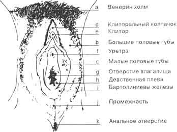 текст при наведении