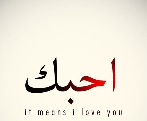 я тебя люблю на арабском
