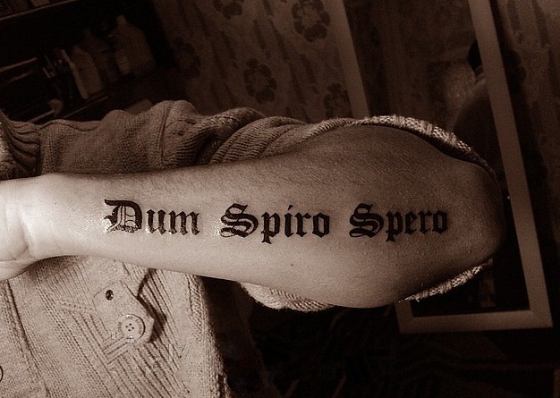 dum spiro spero пока дышу надеюсь татуировка наколка