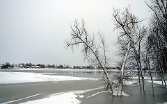 Река зимой сочинение